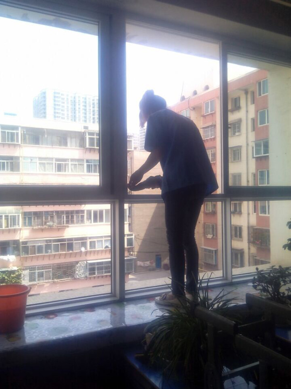 蘭化一中教學(xué)樓擦玻璃